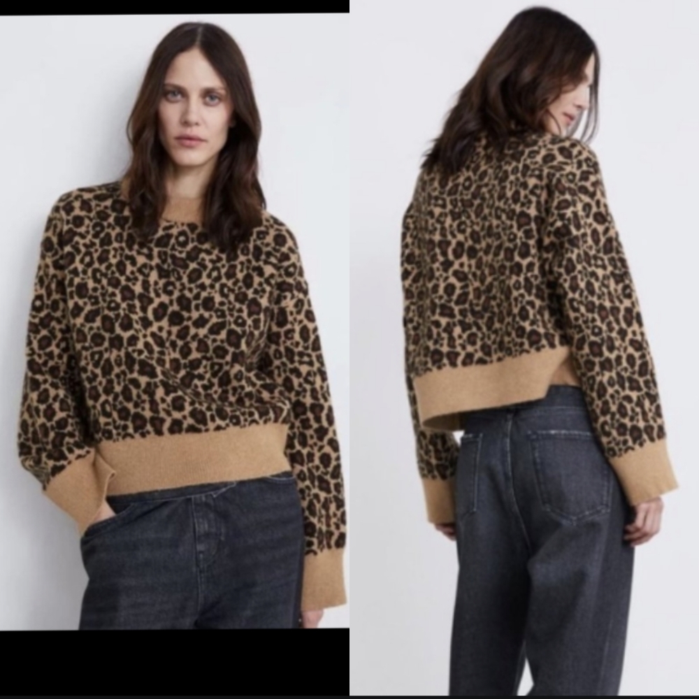 Zara Leopard Print Sweater